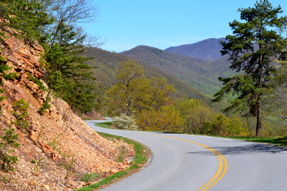 Curvi-linear Parkway Design near Bear Wallow Gap Blue Ridge Parkway MP90 NPS Photo PH