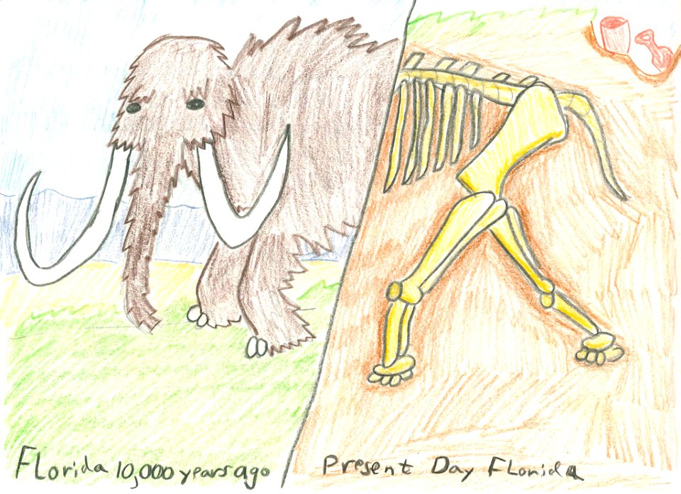 (2011) 9-13 Year Old Category