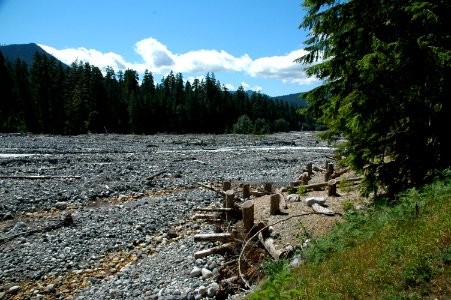 log jam structure Nisqually