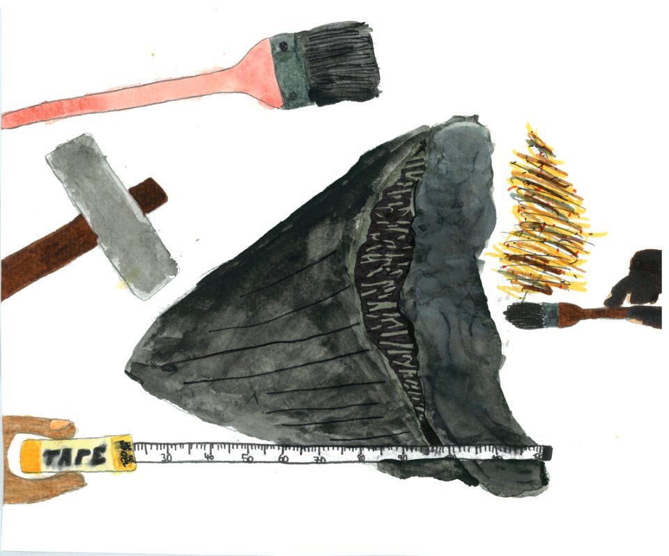 (2013) 5-8 Year Old Category