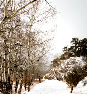 Trail in Rocky Mountain National Park photo