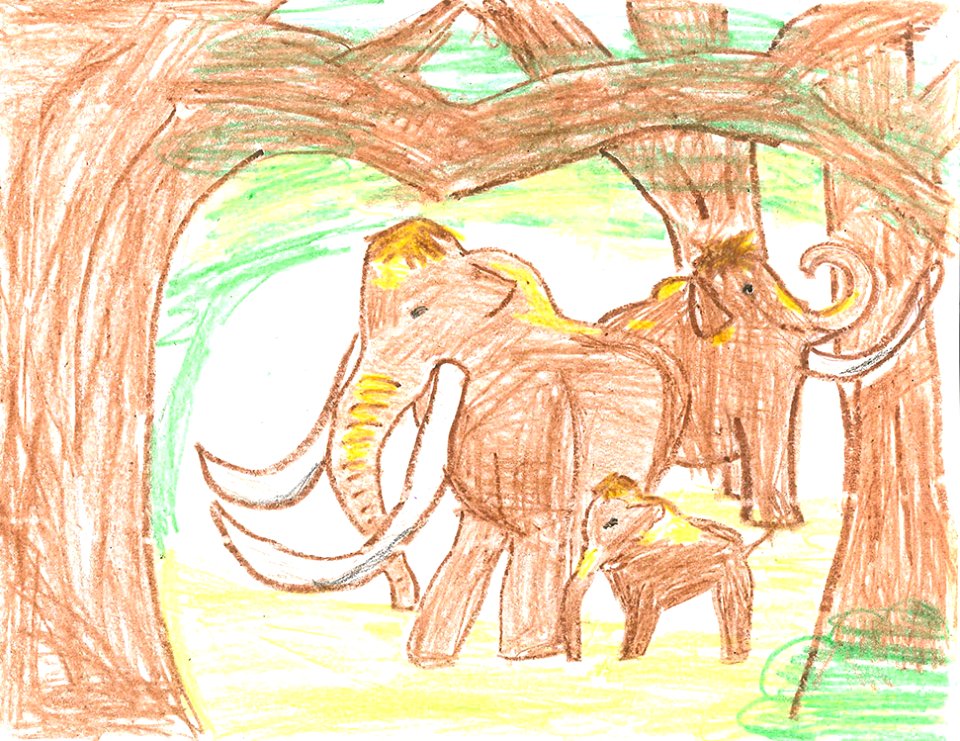 (2014) 5-8 Year Old Category