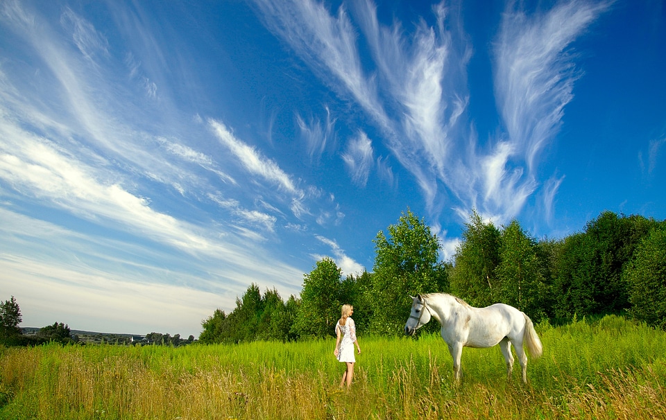 Nature green blue sky