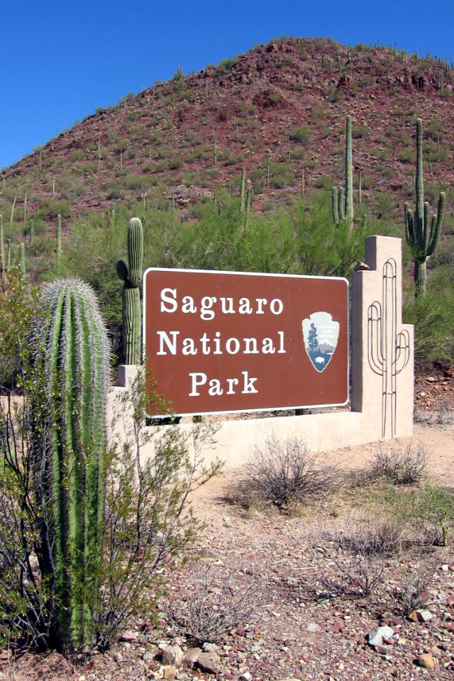 Saguaro National Park. NPS photo.