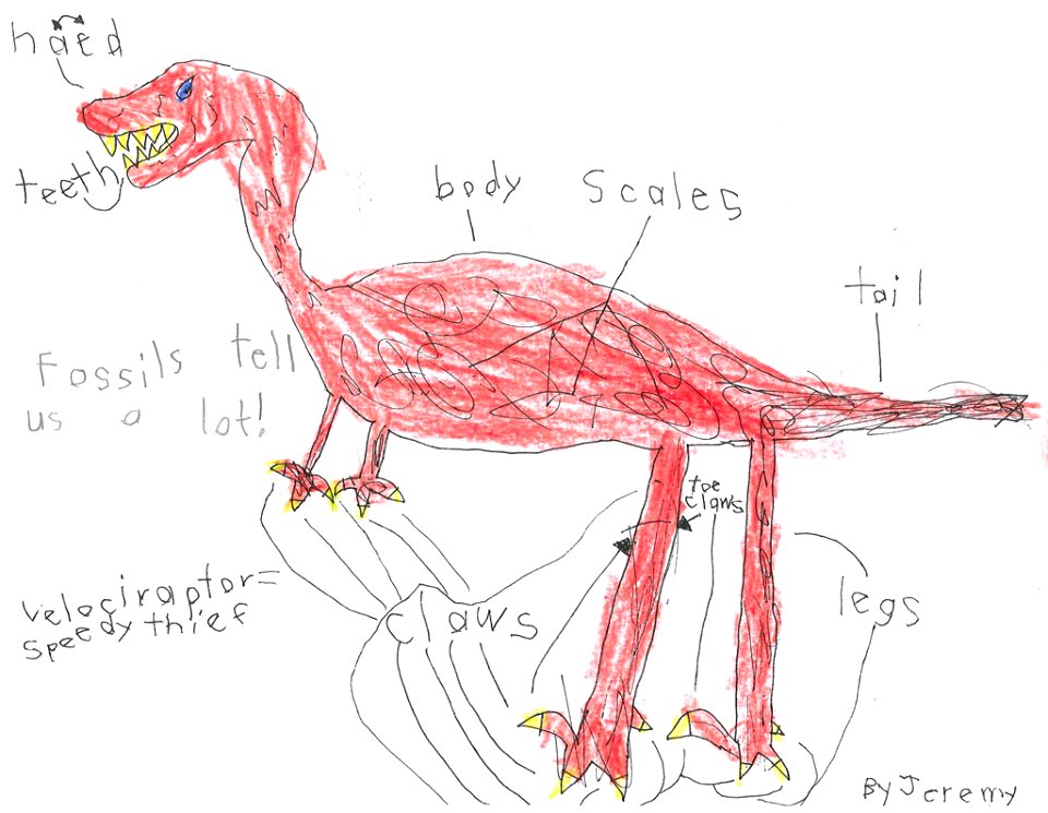 (2011) 5-8 Year Old Category