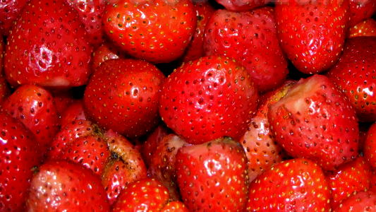 Frutos 00411