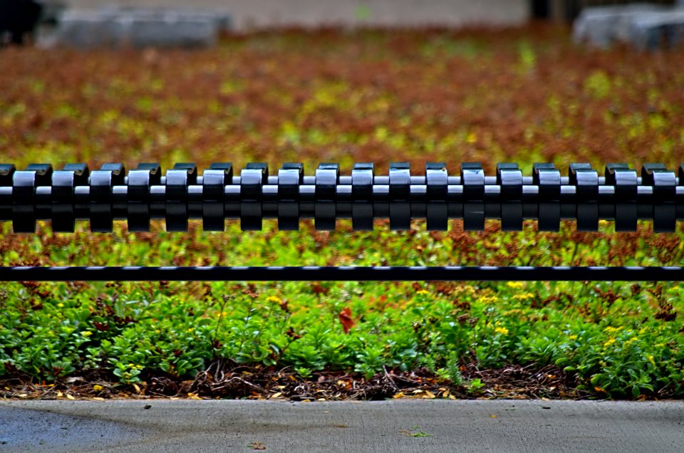 Approach the Bench