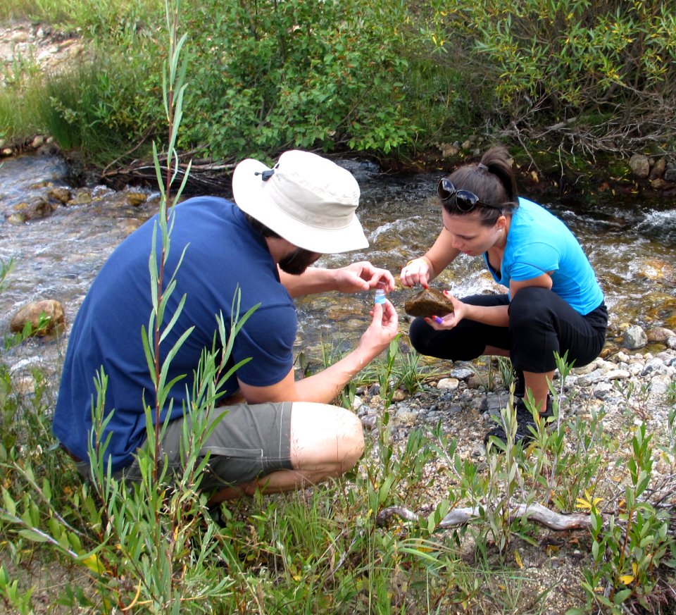 BioBlitz participants collecting larvae for species inventory. Photo by NPS/Courtney Allen.