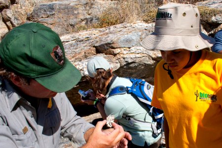 Ecologist Evan Gwilliam and youth ambassador Dara examining an owl pellet. Photo by NPS/Todd M. Edgar.