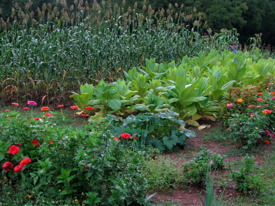 Humpback Rocks Garden Sept NPS Photo PH