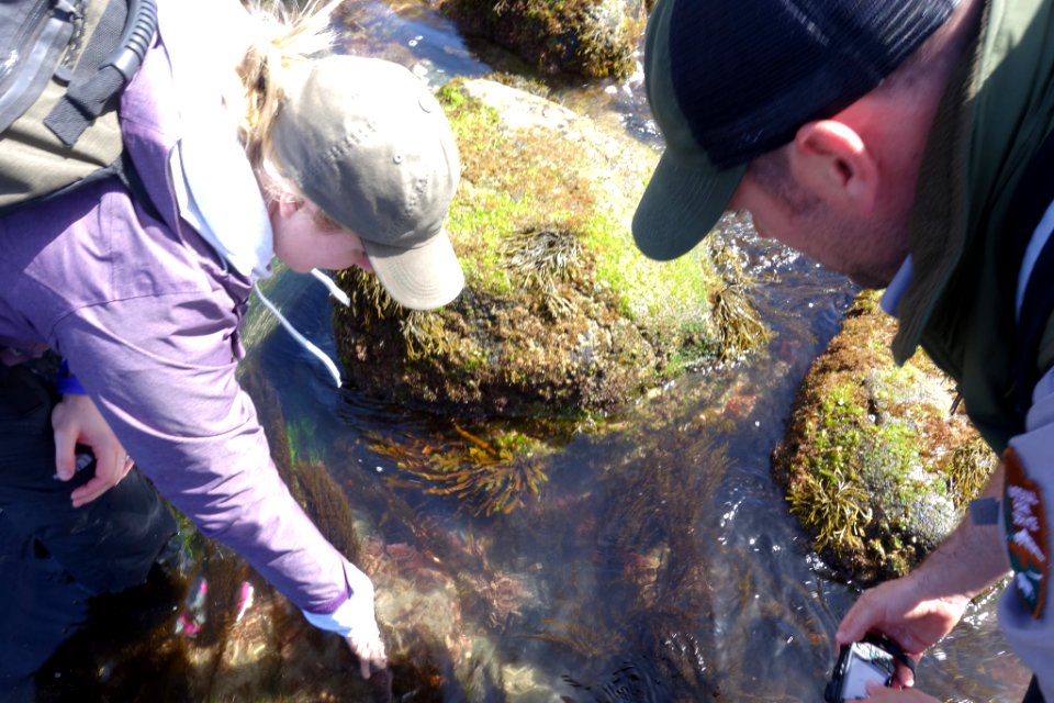 Cabrillo BioBlitz (2016)