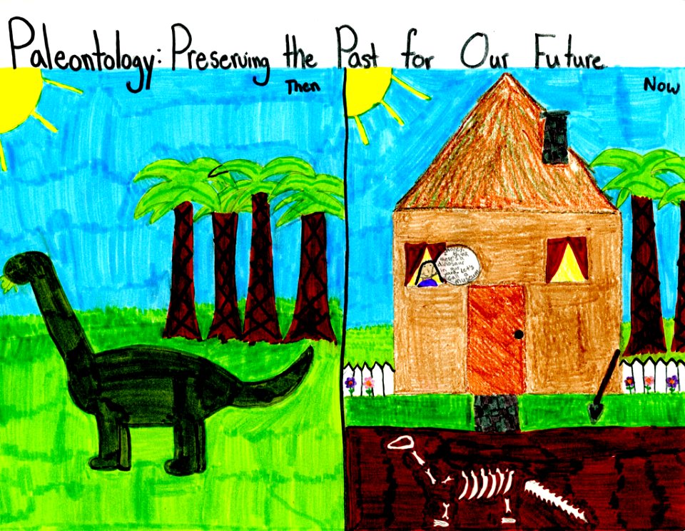 (2010) 9-13 Year Old Category