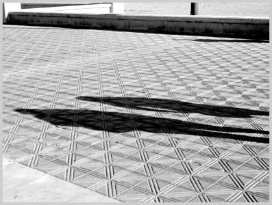Las sombras trasparentes