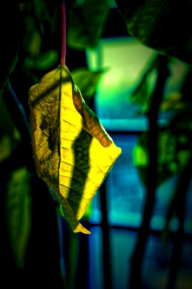 La tarde del otoño
