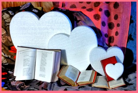El corazón de los libros