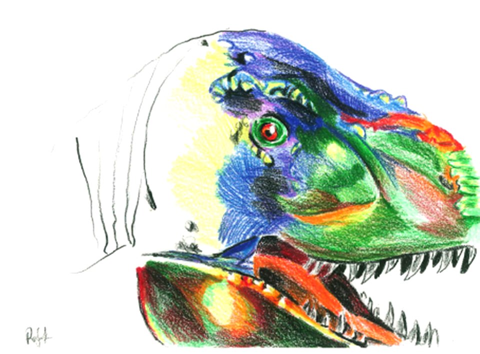 (2016) 14-18 Category