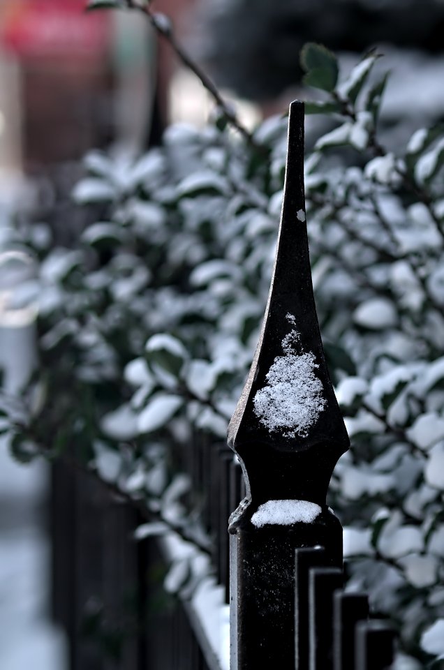 Lightly Frosted Post