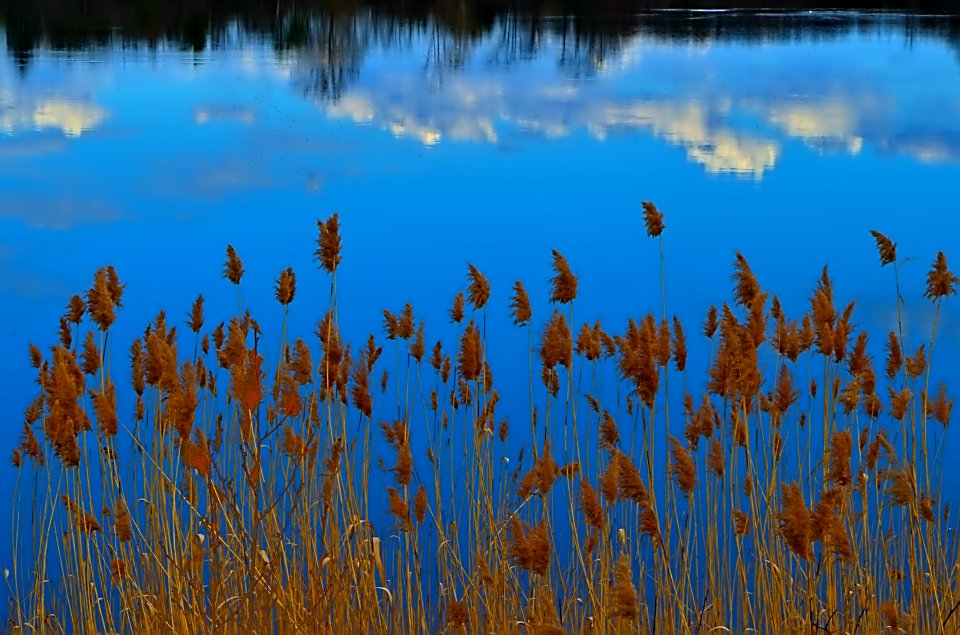 Quiescent Transition