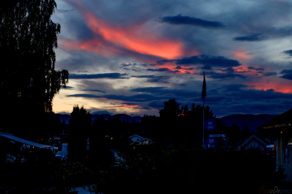DSCF3978