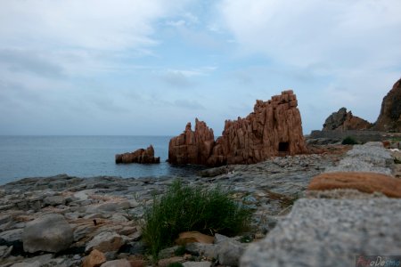 DSCF2578