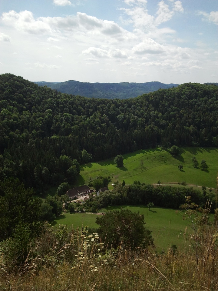 Outlook alps forests