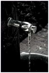 La noche de la fuente