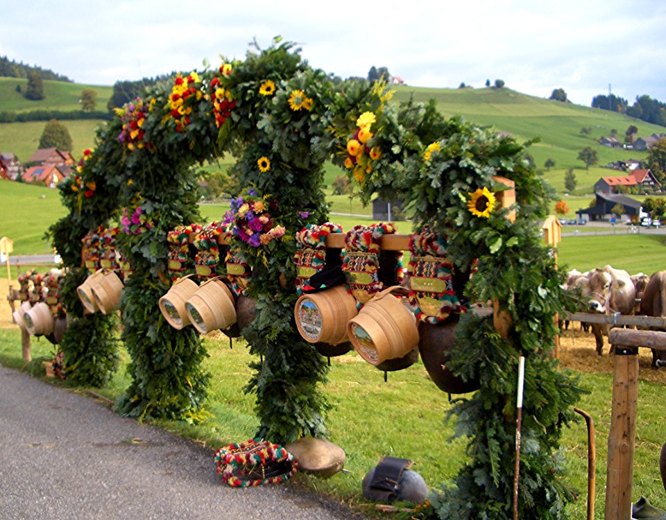 Switzerland Cattle exhibition