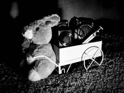 Fotografo de caza