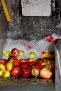 Apfel-Mosterei Stuttgart 2015