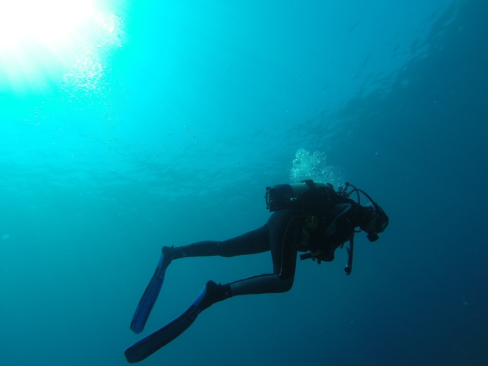 Scuba diving blue marin photo
