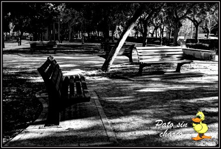 Luces y sombras
