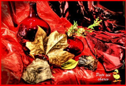 Bodegon de otoño
