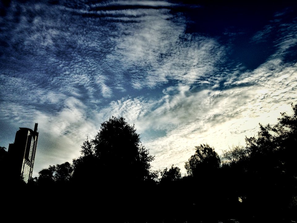 Tarde entre Santiago y providencia.