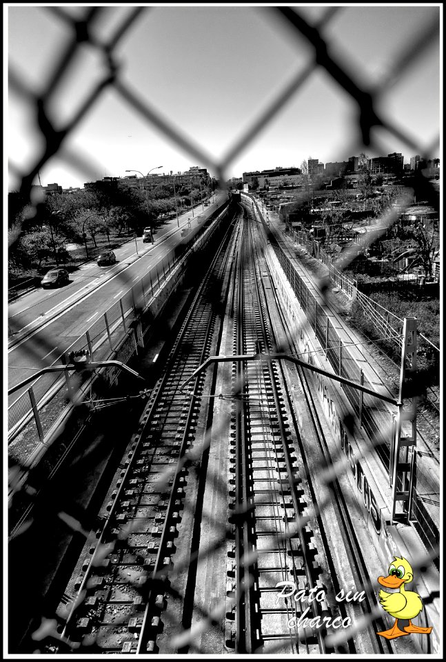 Desde el puente