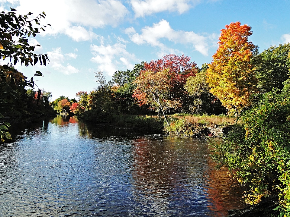 River autumn shoreline