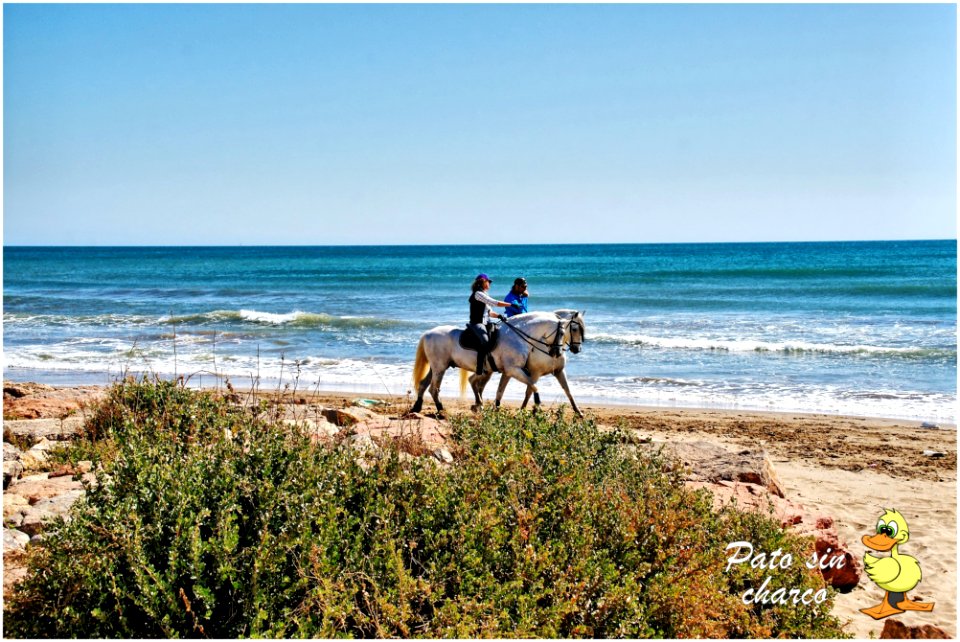 Paseo por la playa