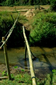 Bridge