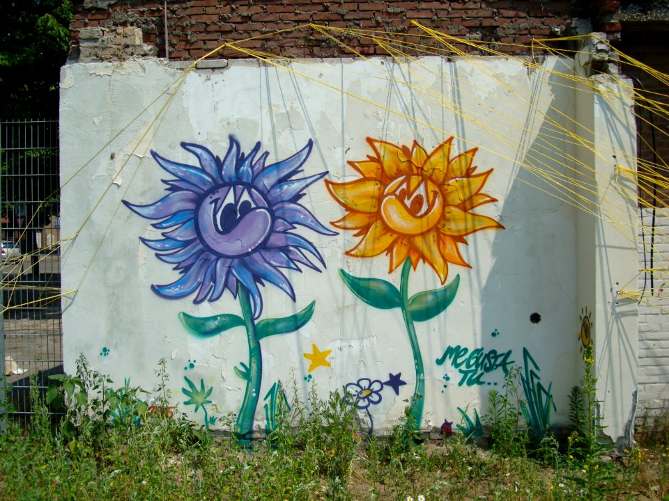 Flowers in love