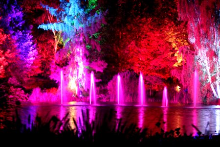 Herbstleuchten im Maxipark