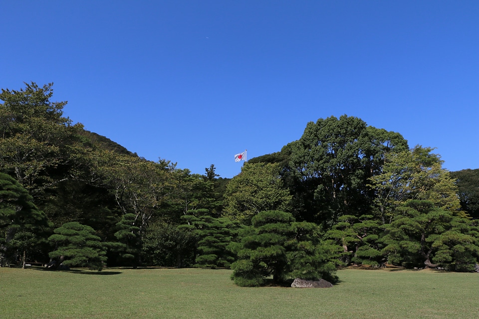 Landscape natural garden