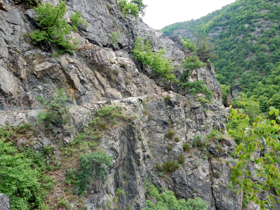DSCN0039