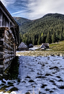 Wooden nature landscape