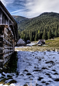 Wooden nature landscape photo