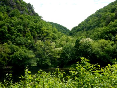 DSCN0051