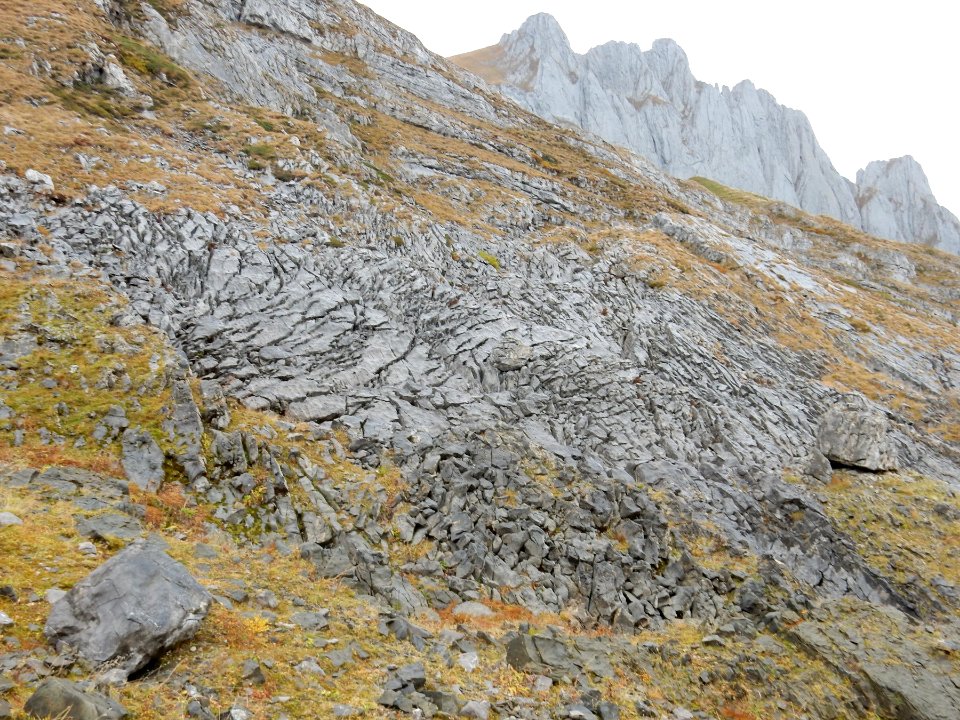 ulm svycarsko 10 2015 102