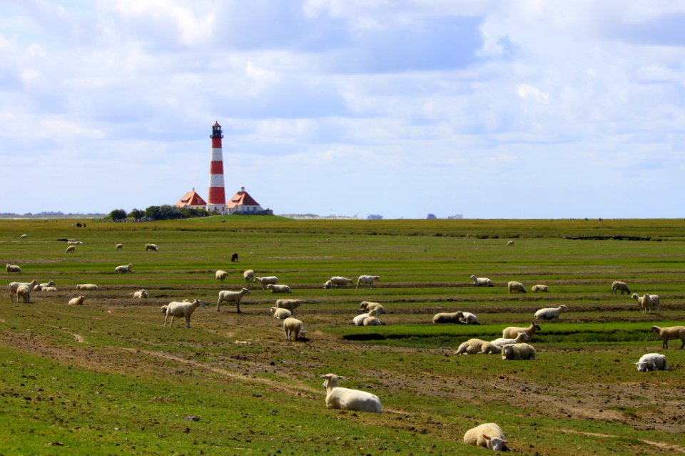 Urlaub in St. Peter-Ording 2015