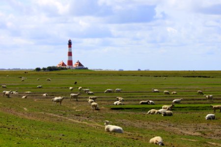 Urlaub in St. Peter-Ording 2015