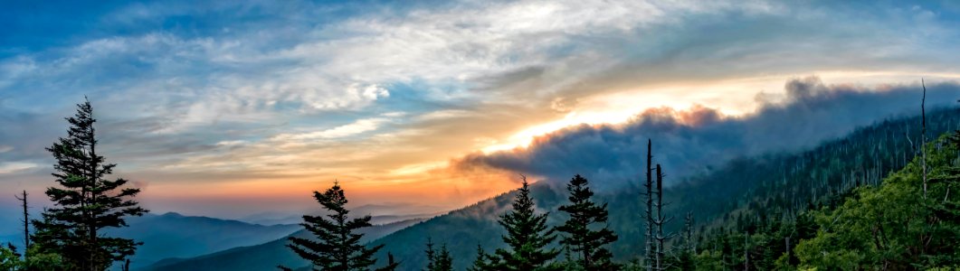 Clingmans Dome (AKA Smoky Dome)  -  Great Smoky Mountains, Tennessee, USA