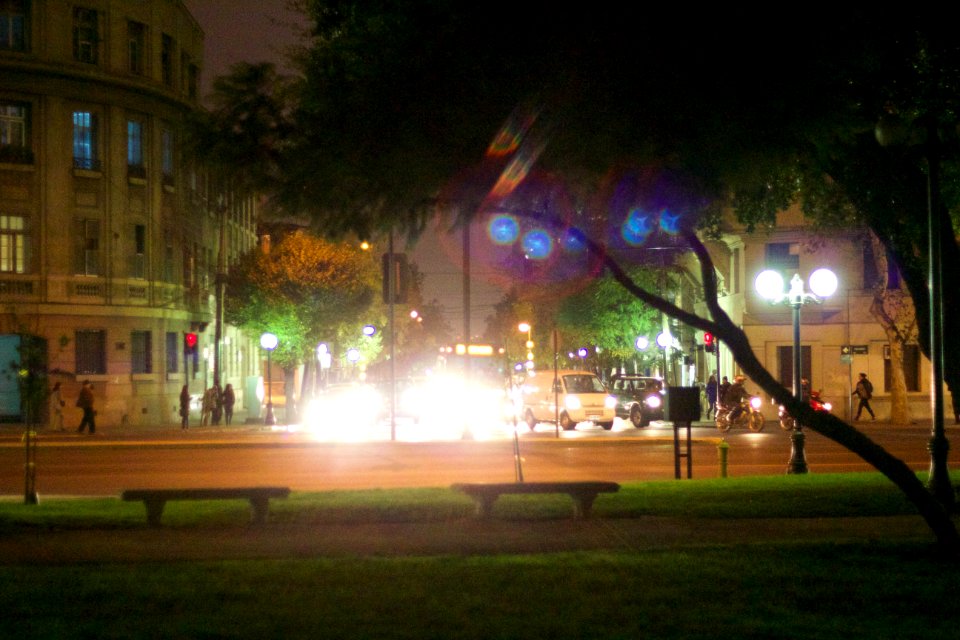 Noche por el parque