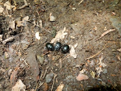 DSCN0067